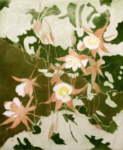 コロンバイン（印刷） 作： Valerie Daniel